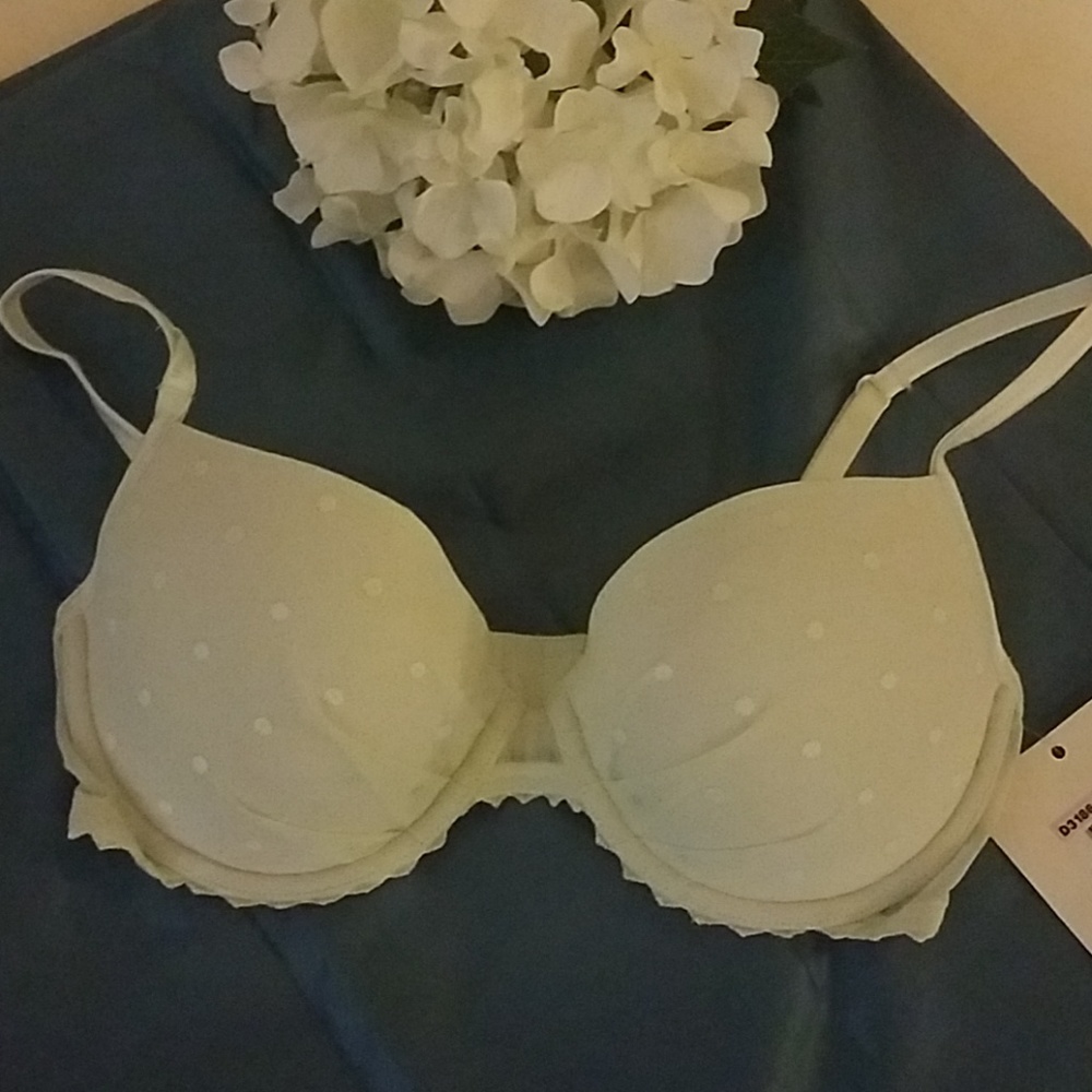 Beautiful light green bra
